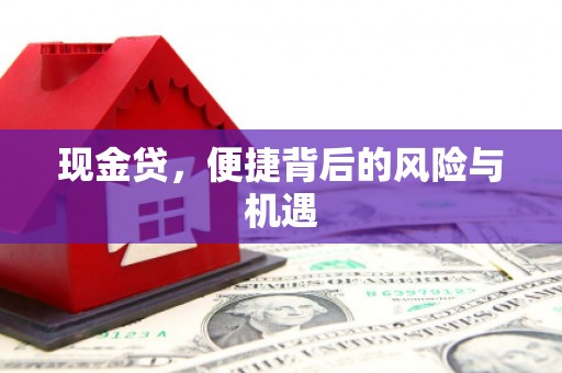 佳里现金贷，便捷背后的风险与机遇