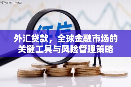 佳里外汇贷款，全球金融市场的关键工具与风险管理策略