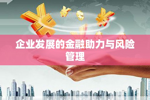 佳里企业发展的金融助力与风险管理