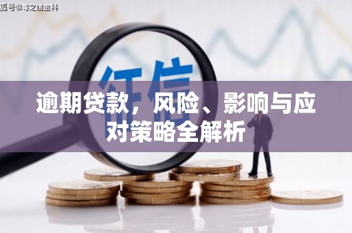 佳里逾期贷款，风险、影响与应对策略全解析