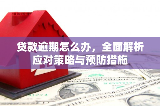 佳里贷款逾期怎么办，全面解析应对策略与预防措施
