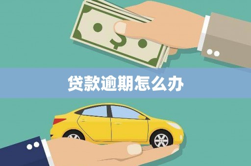佳里贷款逾期怎么办