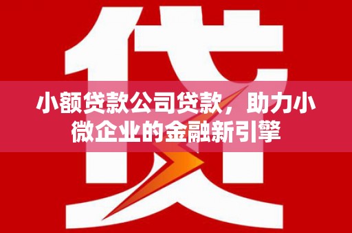 佳里小额贷款公司贷款，助力小微企业的金融新引擎