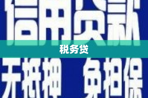 佳里税务贷
