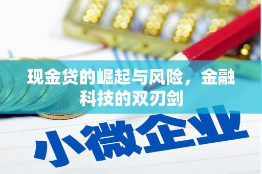 佳里现金贷的崛起与风险，金融科技的双刃剑