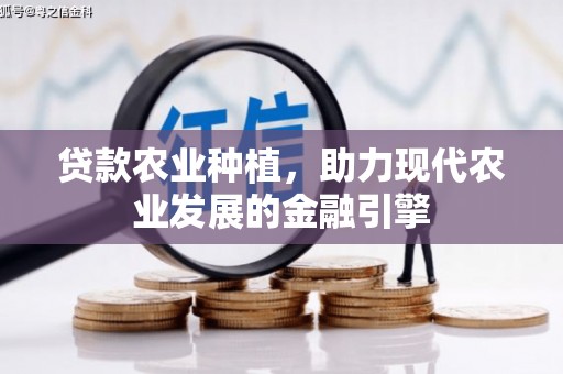 佳里贷款农业种植，助力现代农业发展的金融引擎