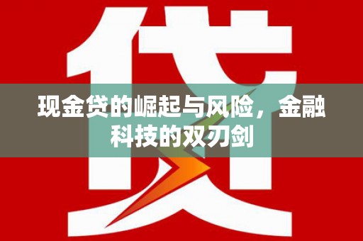 佳里现金贷的崛起与风险，金融科技的双刃剑