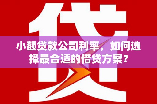 佳里小额贷款公司利率，如何选择最合适的借贷方案？