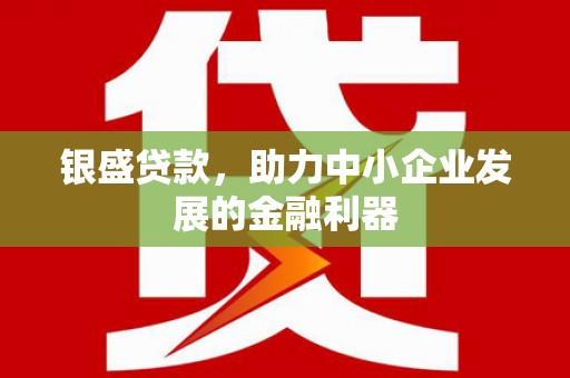 佳里银盛贷款，助力中小企业发展的金融利器