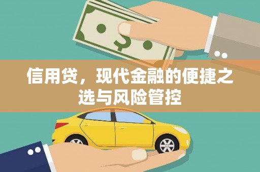 佳里信用贷，现代金融的便捷之选与风险管控