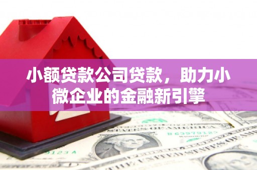 佳里小额贷款公司贷款，助力小微企业的金融新引擎