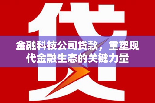 佳里金融科技公司贷款，重塑现代金融生态的关键力量