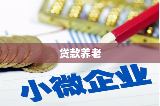 佳里贷款养老