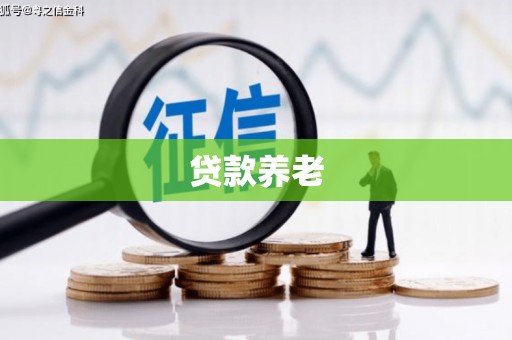 佳里贷款养老