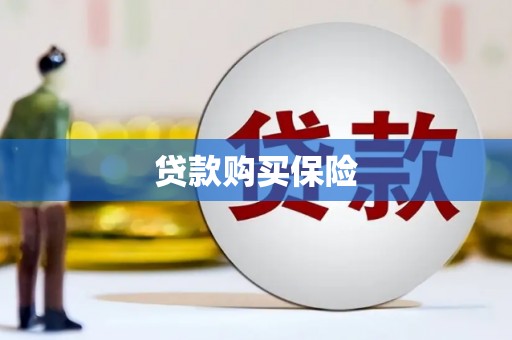 佳里贷款购买保险