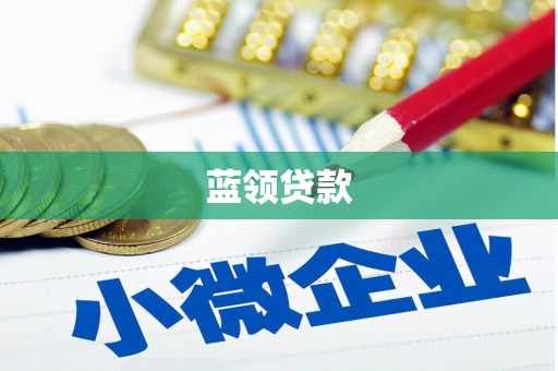 佳里蓝领贷款