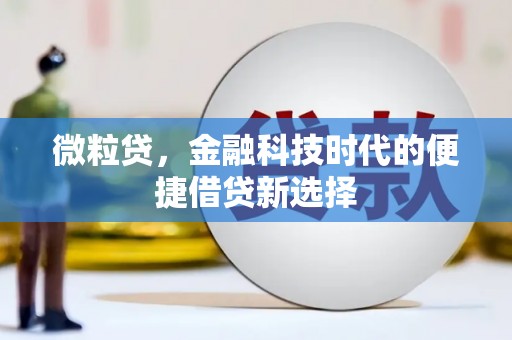 佳里微粒贷，金融科技时代的便捷借贷新选择