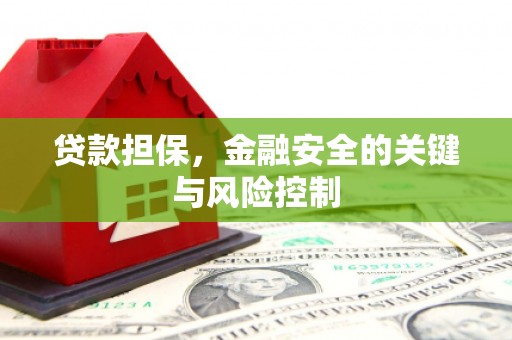 佳里贷款担保，金融安全的关键与风险控制