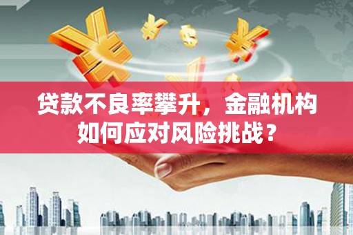 佳里贷款不良率攀升，金融机构如何应对风险挑战？