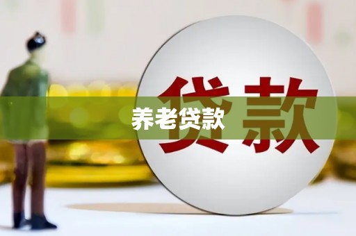 佳里养老贷款