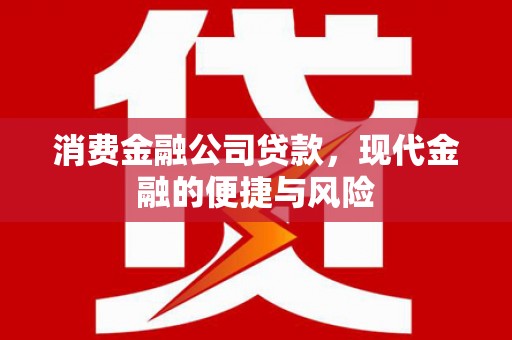 佳里消费金融公司贷款，现代金融的便捷与风险