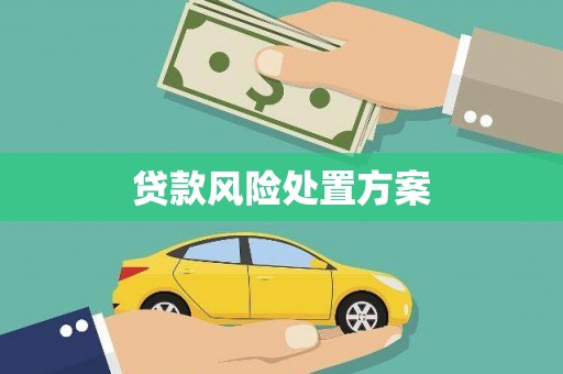 佳里贷款风险处置方案