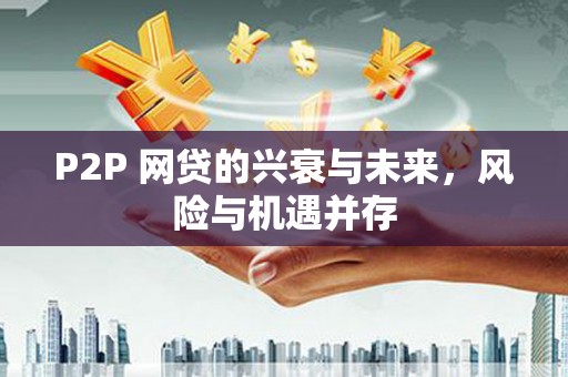 佳里P2P 网贷的兴衰与未来，风险与机遇并存