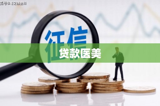 佳里贷款医美