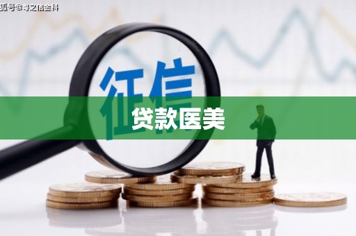 佳里贷款医美