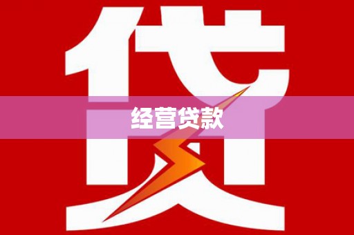 佳里经营贷款