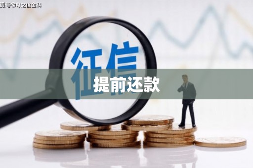 佳里提前还款